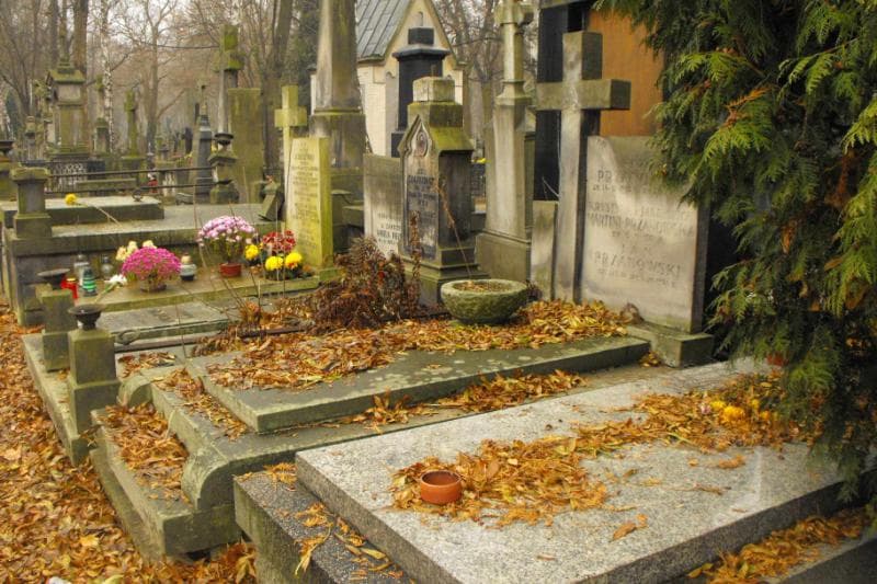 Zdjęcie grobu Krystyna Martini-Przanowska (1)