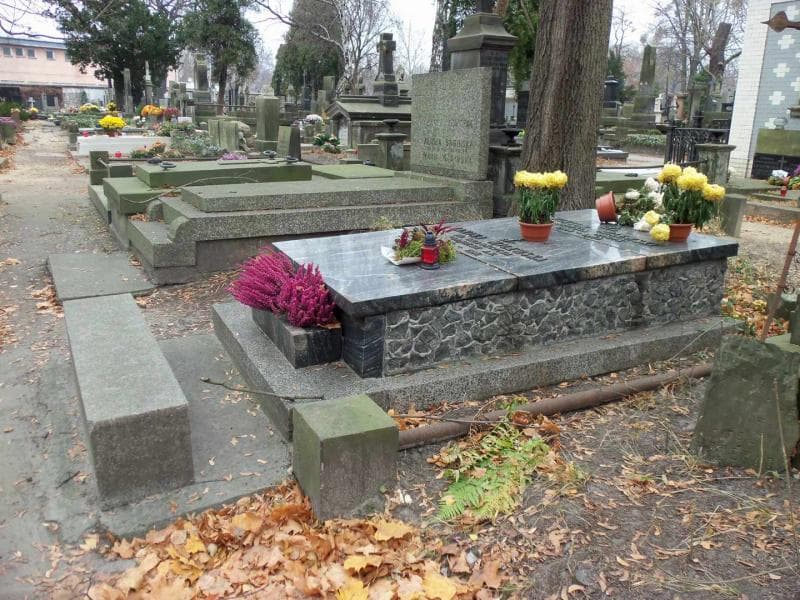 Zdjęcie grobu Janina Milewska (1)