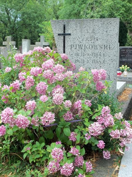 Zdjęcie grobu Jasio Piwkowski (2)