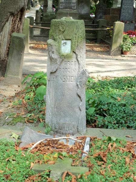 Zdjęcie grobu Anna Lewińska (2)