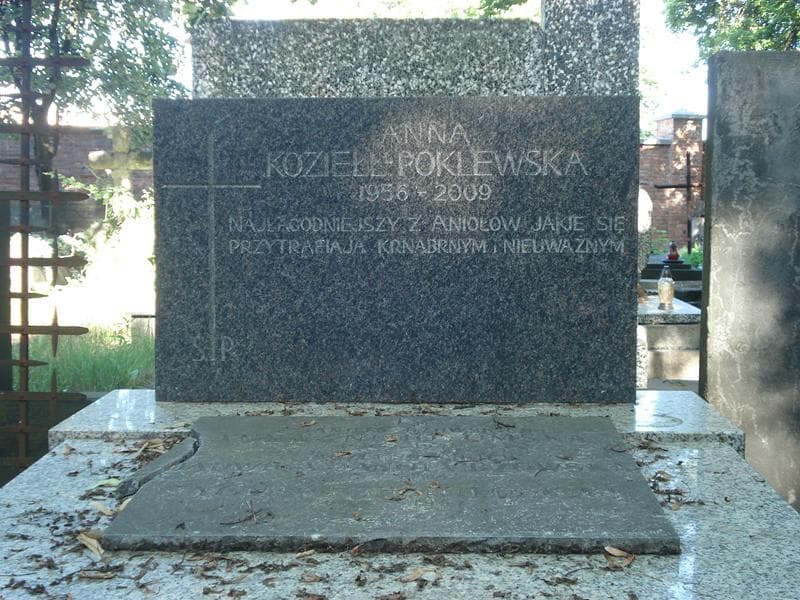 Zdjęcie grobu Anna Kozieł - Poklewska (1)