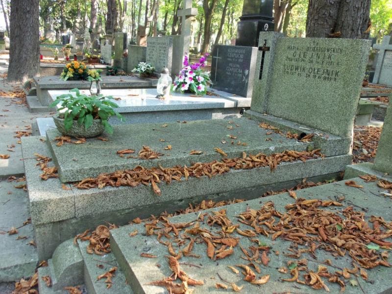 Zdjęcie grobu Ludwik Olejnik (1)