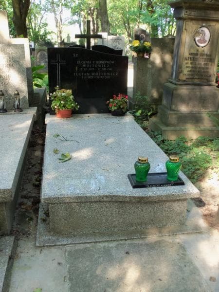 Zdjęcie grobu: Julian Wójtowicz