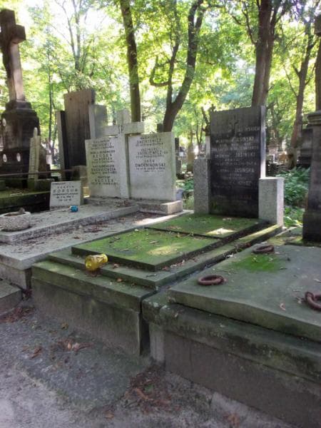 Zdjęcie grobu Władysław Jasiński (1)