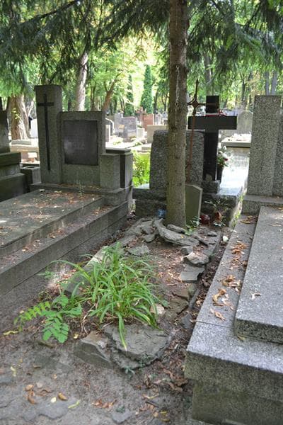 Zdjęcie grobu Anonim (1)