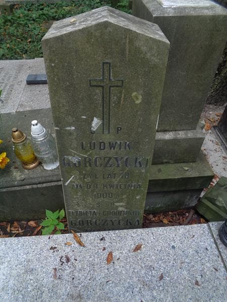Zdjęcie grobu Ludwik Gorczycki (2)