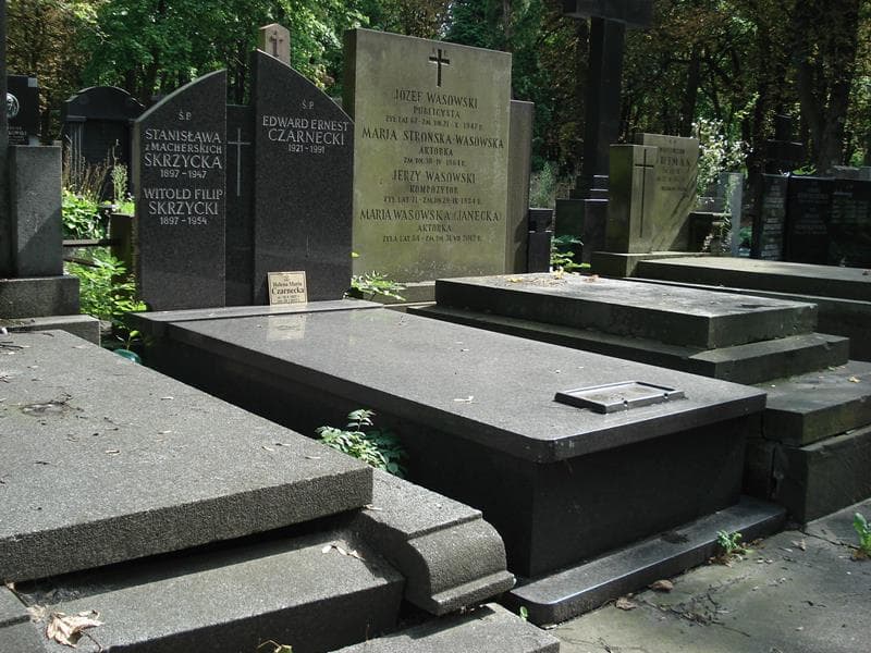 Zdjęcie grobu Edward Ernest Czarnecki (1)