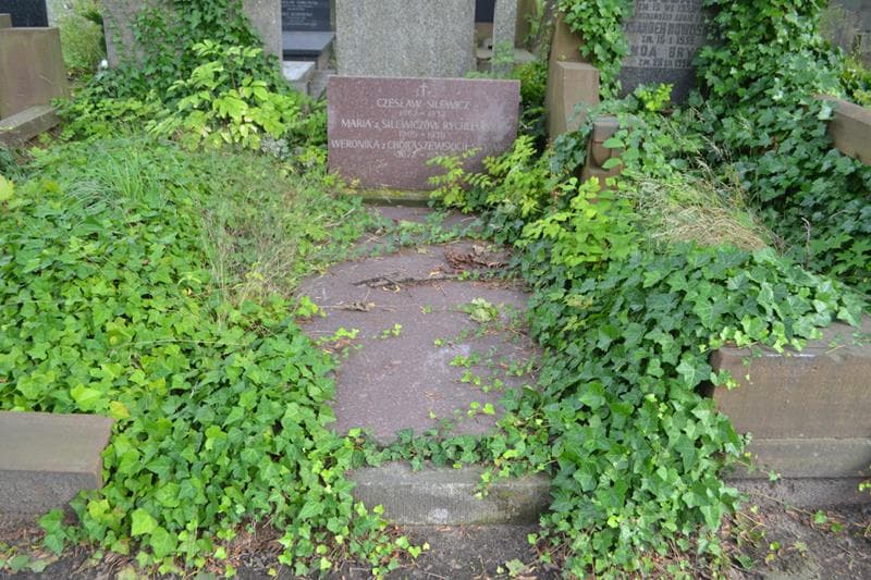 Zdjęcie grobu Maria Rychlewska (1)