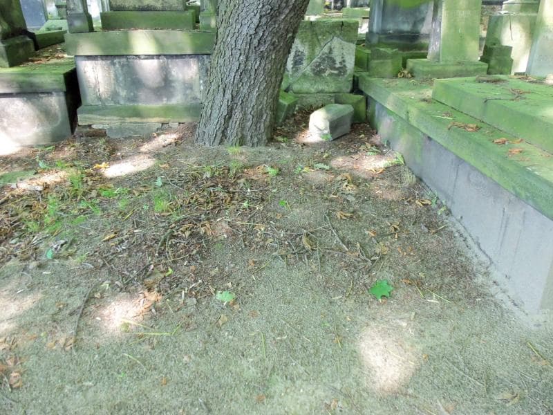 Zdjęcie grobu: Pole Grobowe