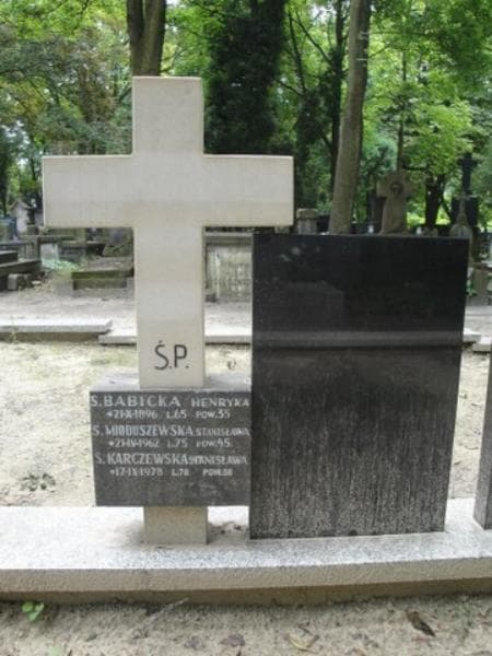 Zdjęcie grobu Henryka Babicka (1)