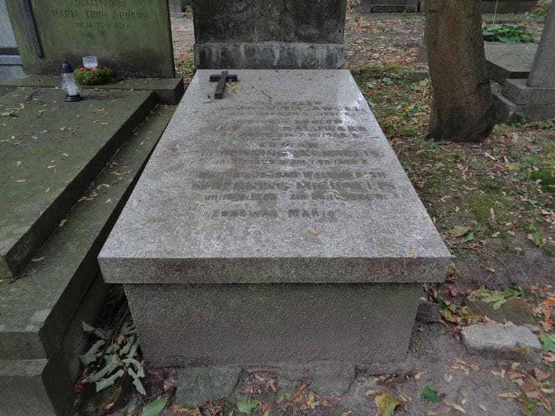 Zdjęcie grobu Gustaw De Henning Michaelis (1)