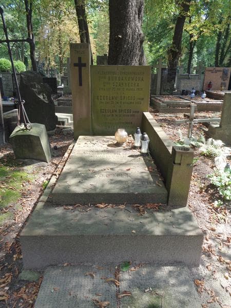 Zdjęcie grobu Klementyna Czarnecka (1)