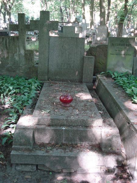 Zdjęcie grobu: Józef Górski