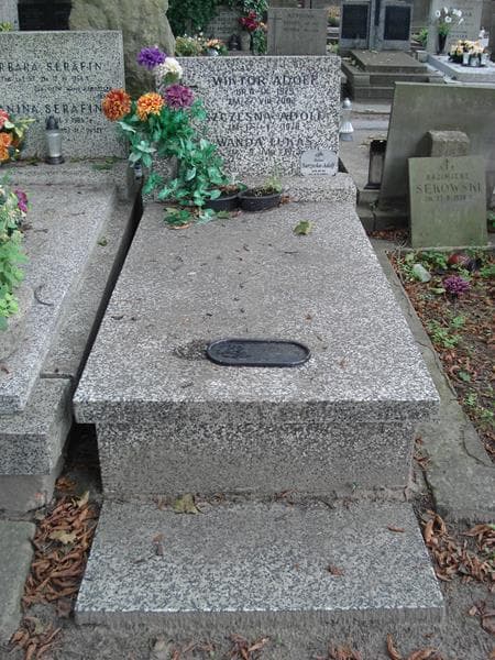 Zdjęcie grobu Szczęsna Adolf (1)
