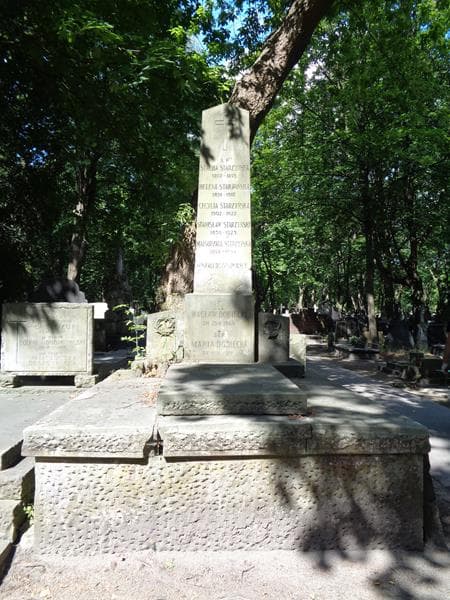 Zdjęcie grobu Wacław Dobiecki (1)