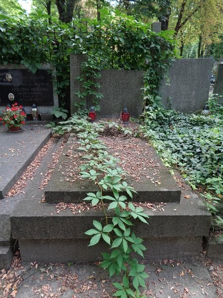 Zdjęcie grobu Helena Juchniewicz (1)