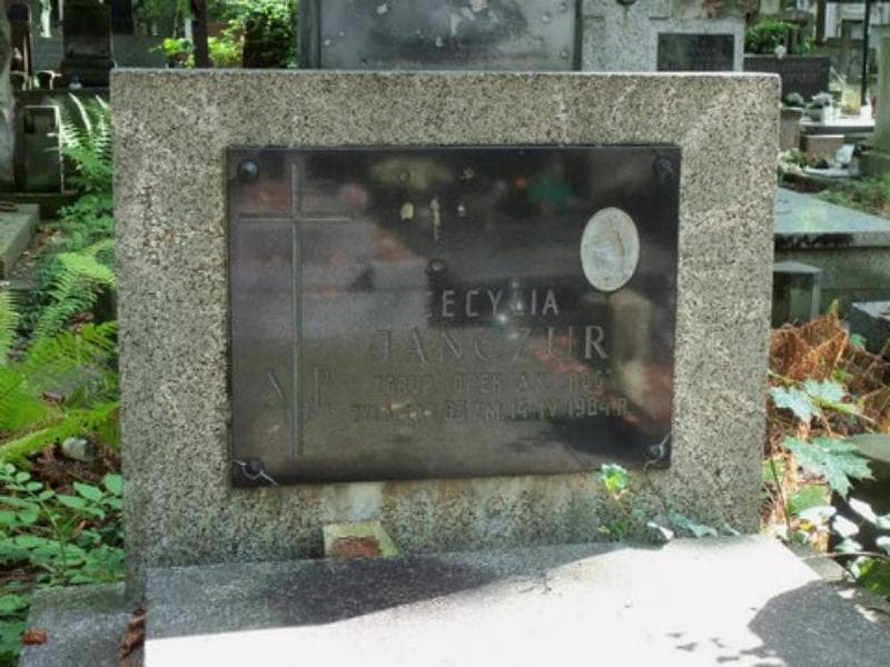 Zdjęcie grobu Cecylia Janczur (2)