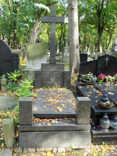 Zdjęcie grobu: Wacław Przedpełski