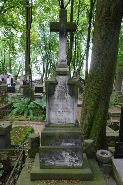 Zdjęcie grobu Karol Grzegółkowski (2)