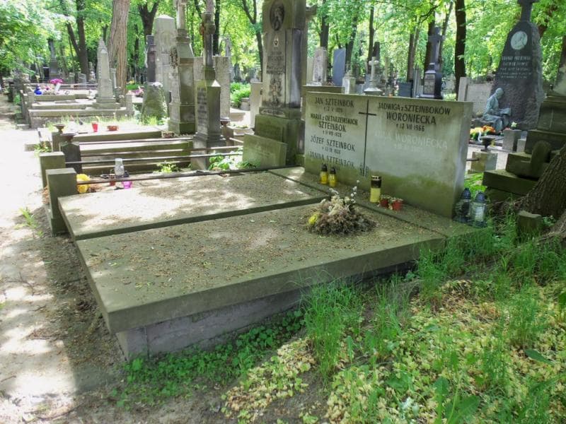 Zdjęcie grobu Anna Worowiecka (1)
