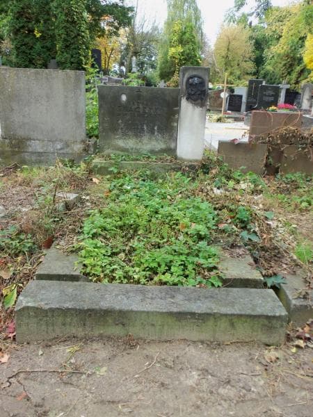 Zdjęcie grobu: Irena Tkaczyk