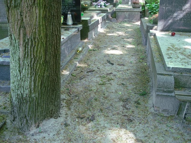 Zdjęcie grobu: Pole Grobowe