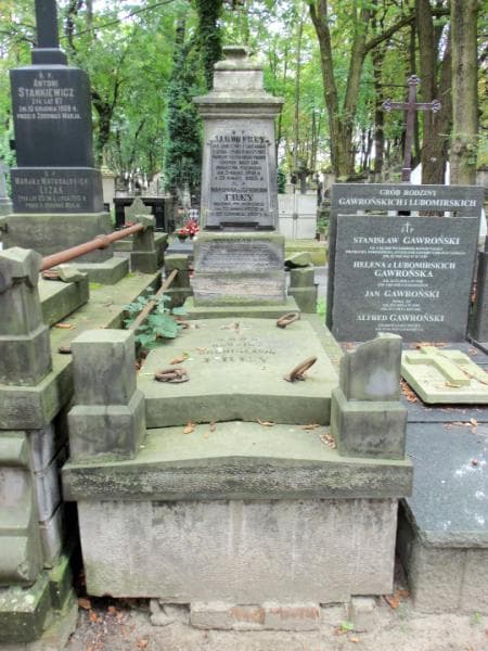 Zdjęcie grobu: Bronisław Frey
