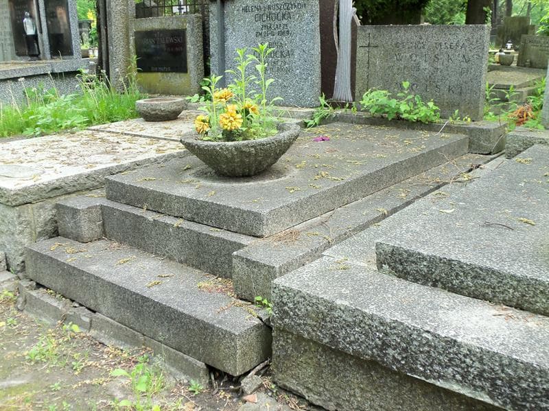 Zdjęcie grobu Celina Teresa Wolska (1)