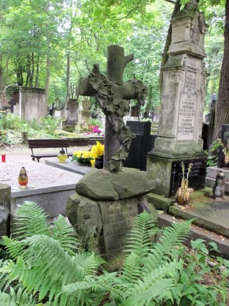 Zdjęcie grobu Bolesław Żółkiewski (2)