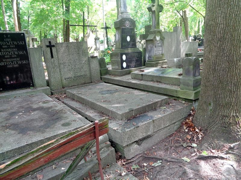 Zdjęcie grobu: Bolesław Habdank-Dunikowski