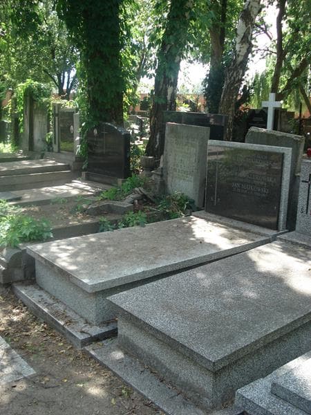 Zdjęcie grobu Jan Majkowski (1)