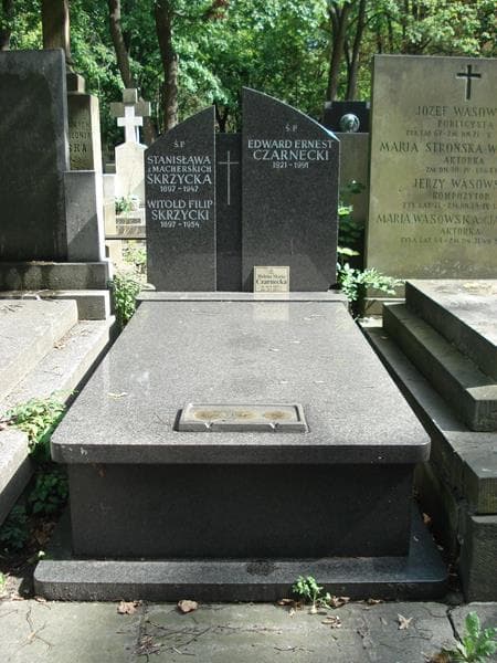 Zdjęcie grobu: Edward Ernest Czarnecki