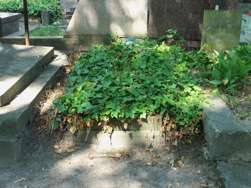 Zdjęcie grobu: Włodzimierz Makarewicz