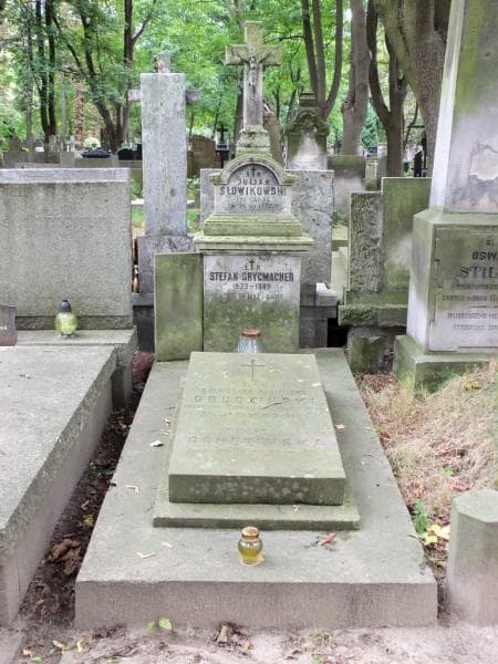 Zdjęcie grobu: Juljan Słowikowski