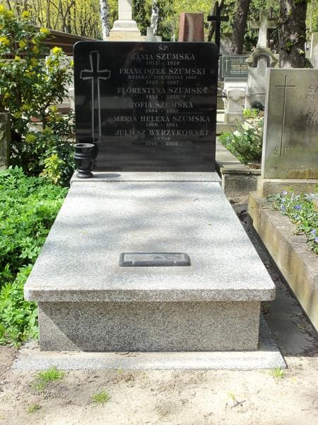 Zdjęcie grobu: Juliusz Wyrzykowski