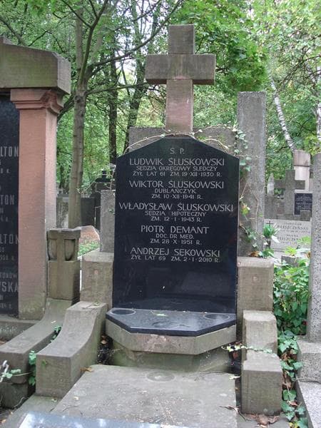 Zdjęcie grobu Wacław Sękowski (2)