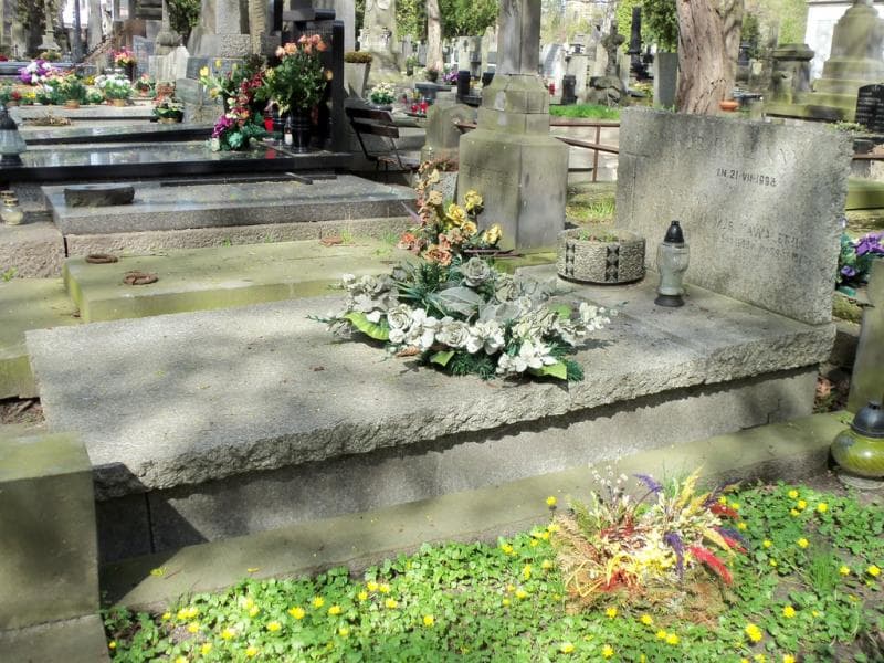 Zdjęcie grobu Henryk Liszko (1)