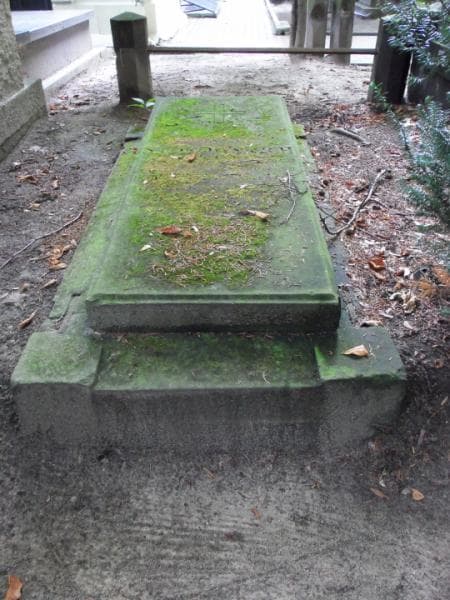 Zdjęcie grobu Zygmunt Stokowski (2)