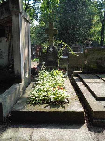 Zdjęcie grobu Anna Ciesielska (1)