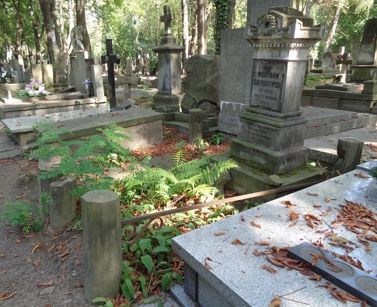 Zdjęcie grobu: Władysław Gołembowski