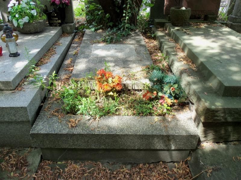 Zdjęcie grobu Ewa Dobrzyńska Albinowska (1)