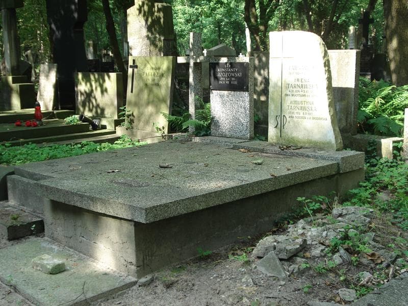 Zdjęcie grobu Tadeusz Tarnawski (1)
