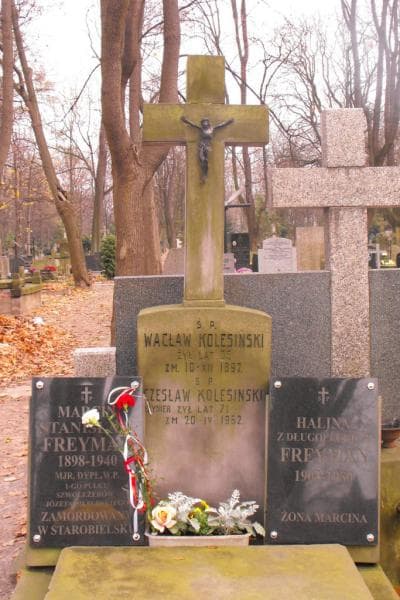 Zdjęcie grobu Marcin Stanisław Freyman (2)
