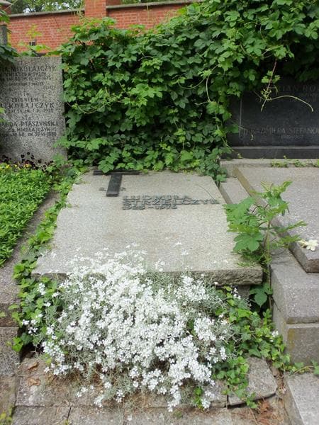 Zdjęcie grobu: Czesław Gołębiewski