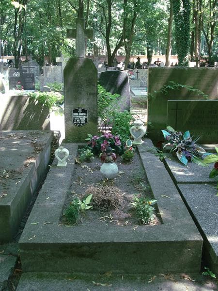 Zdjęcie grobu: Frydrych Heine