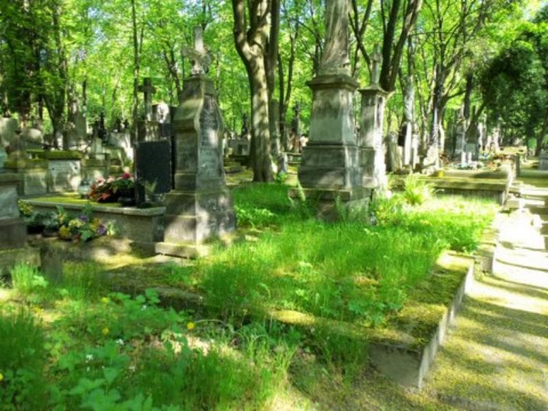 Zdjęcie grobu Feliks Bąkowski (1)