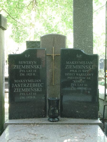 Zdjęcie grobu Maksymilian Jastrzębiec Ziembiński (2)