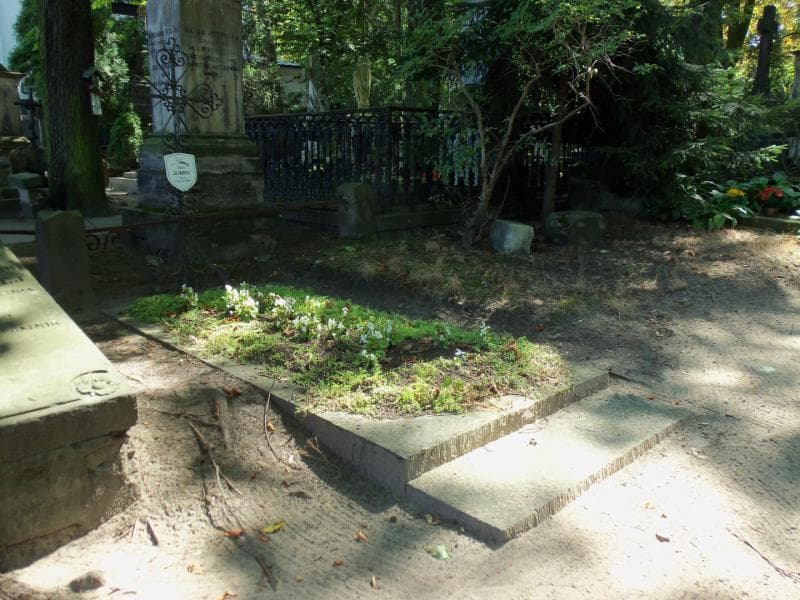 Zdjęcie grobu Izabela Ciechanowska (1)