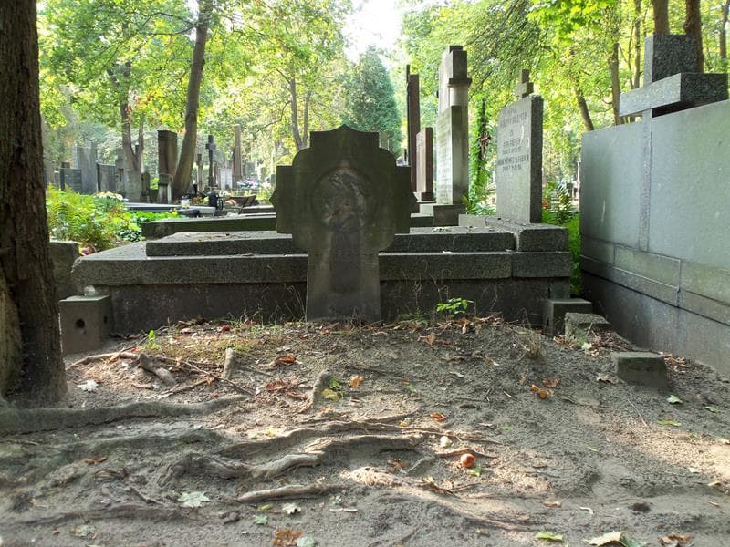Zdjęcie grobu: Zygmunt D'auguste