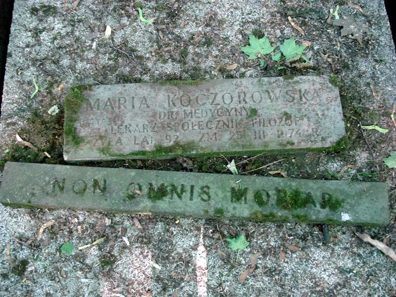 Zdjęcie grobu Maria Koczorowska (1)